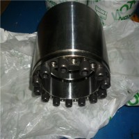 原廠BIKON-Technik聯軸器