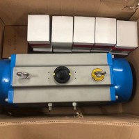 Bar氣動執行器PKI-2/0-I-050-A-AS018-08