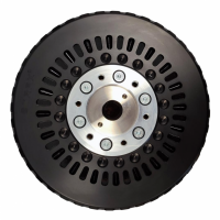 EMRAX軸向磁通電機(jī) 268系列 軸向長(zhǎng)度91毫米