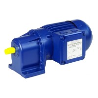 德國Bauer Gear減速電機BS02型規格參數