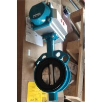 瑞士InterApp 蝶閥B10032.33 球墨鑄鐵閥體-20℃至 120℃耐溫